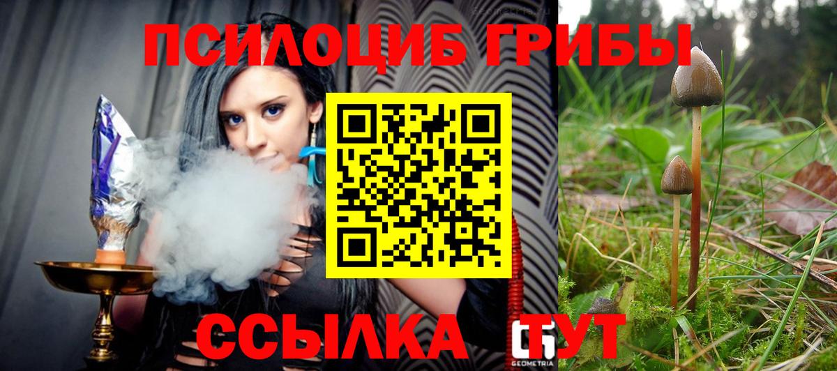 Галлюциногенные грибы Psilocybine cubensis Южноуральск